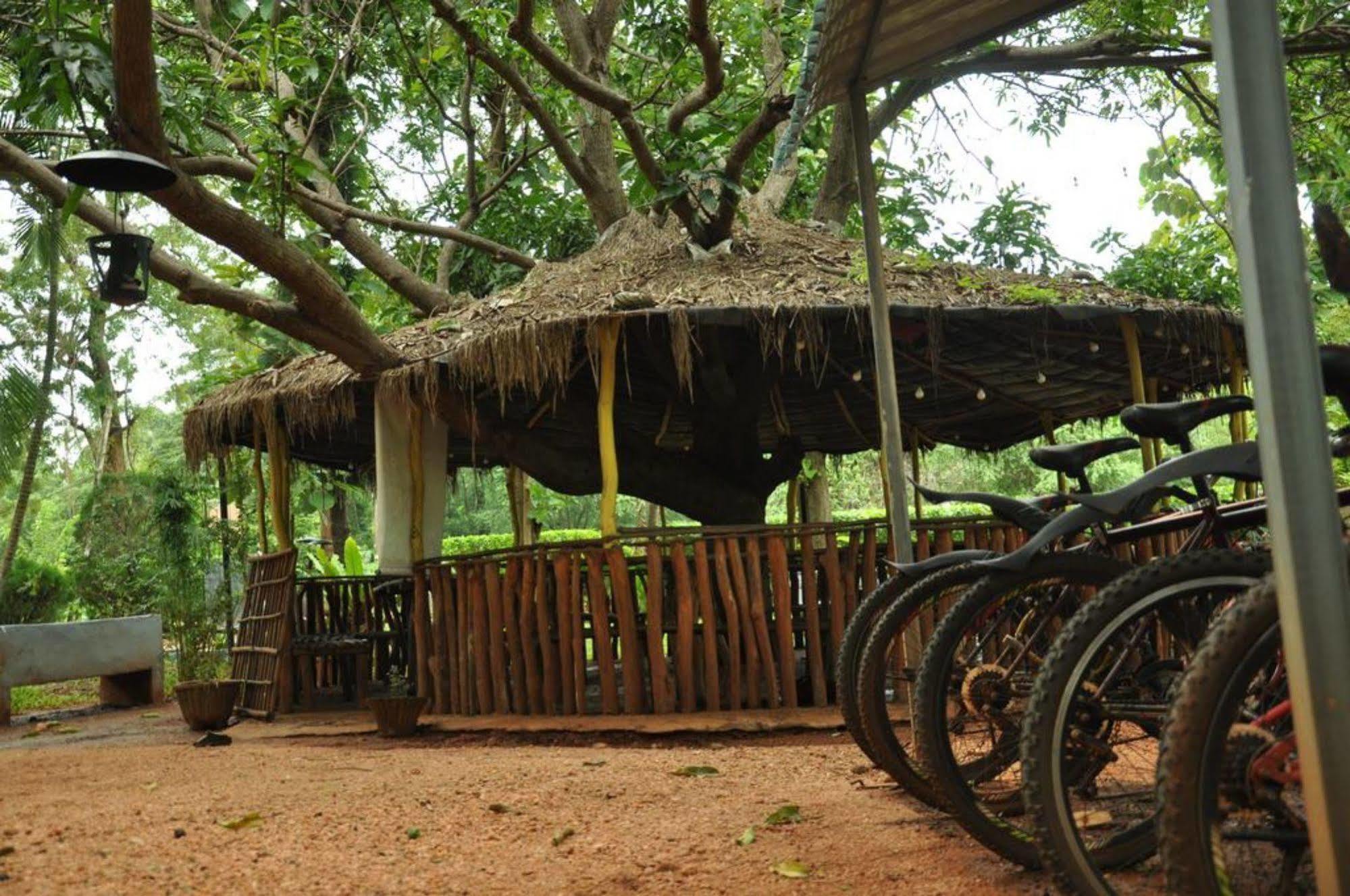 Sujatha Tourist Rest Hotel Dambulla Exterior photo